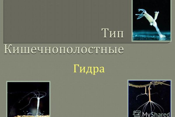 Кракен маркет даркнет только через стор