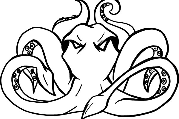 Kraken link