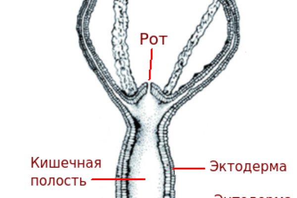 Кракен даркнет тг